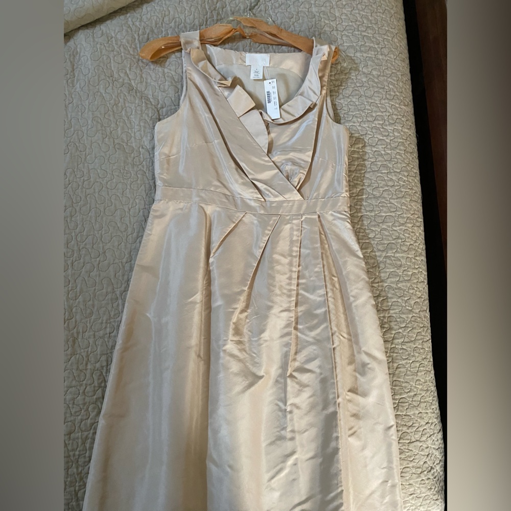NWT J Crew Beige Dress